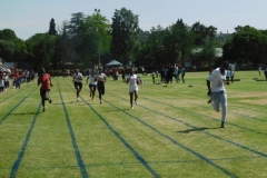 resize19