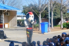 Fire Fighting Dog
